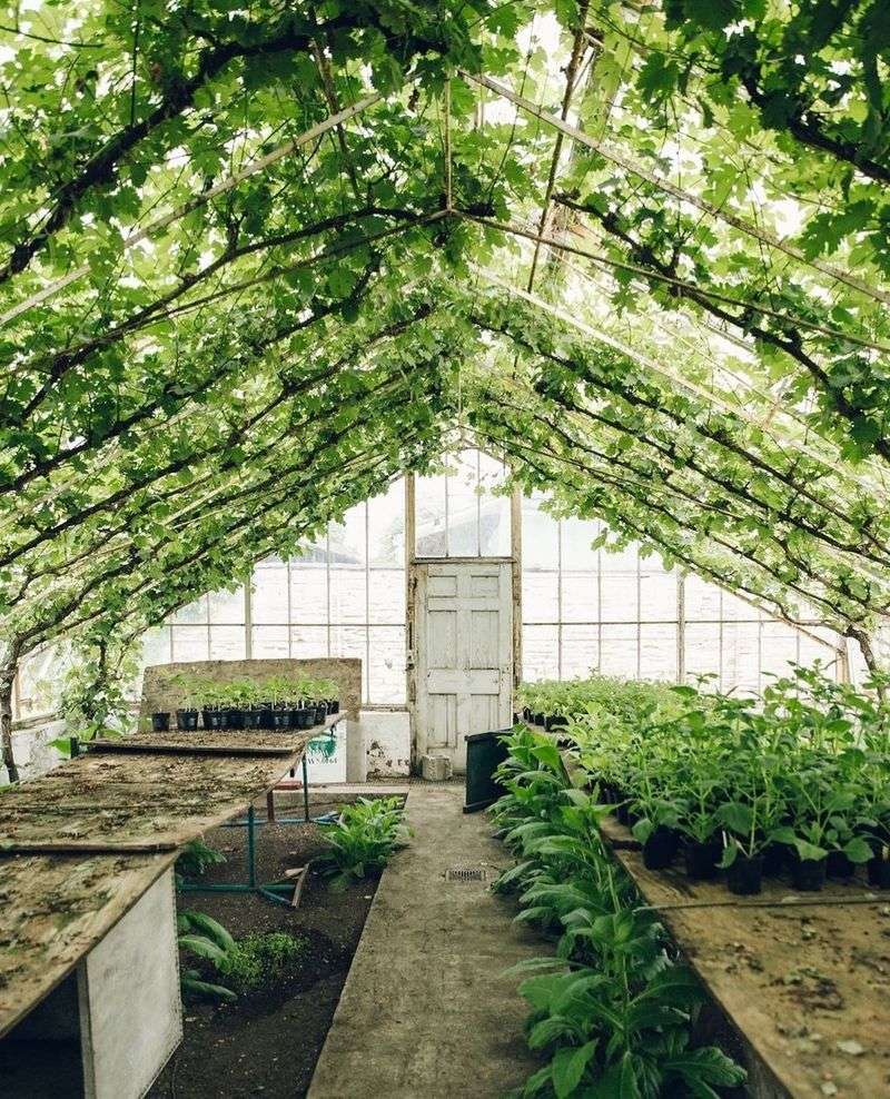 Botanical Bliss Sanctuary