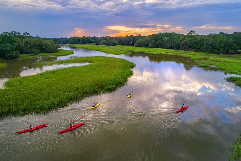 Wildlife Kayak Tour