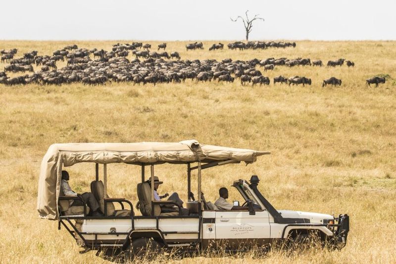 Safari in the Serengeti