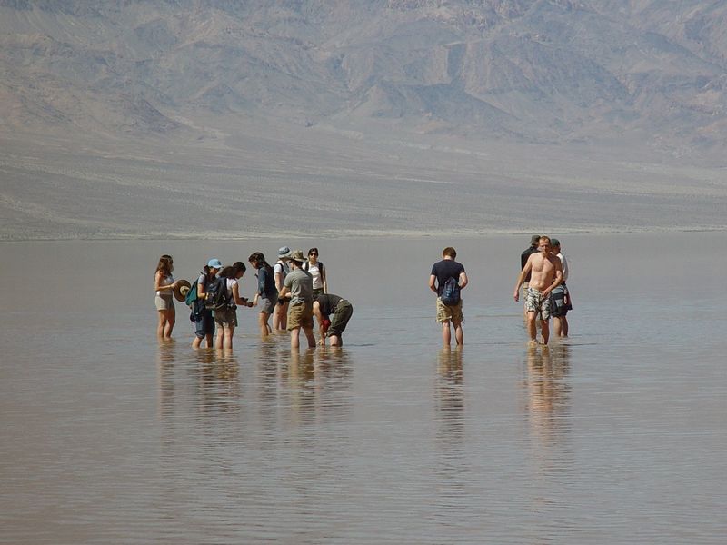 Travel in Groups