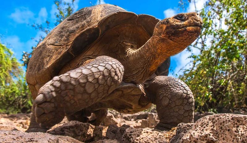 Exploring the Galápagos Islands
