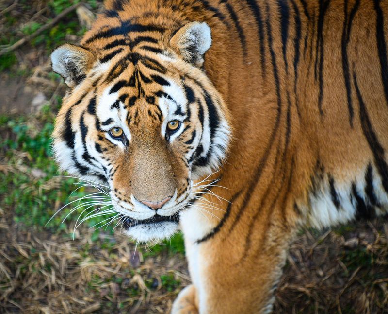 Kentucky - Louisville Zoo