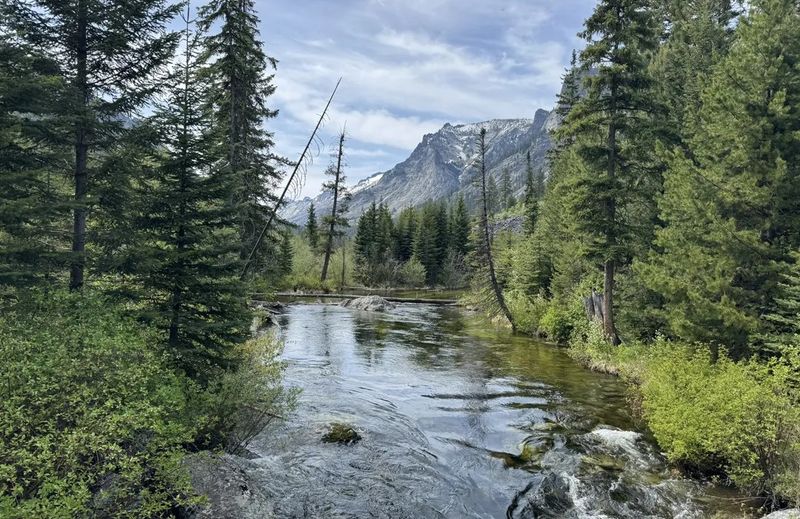 Bitterroot National Forest