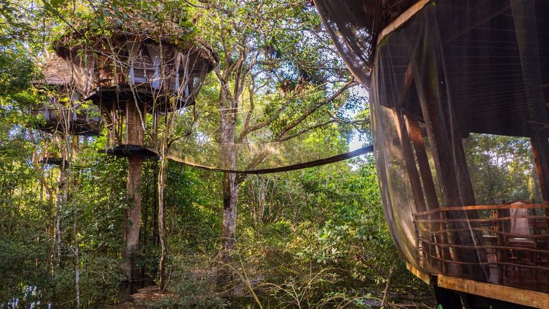 Rainforest Retreat