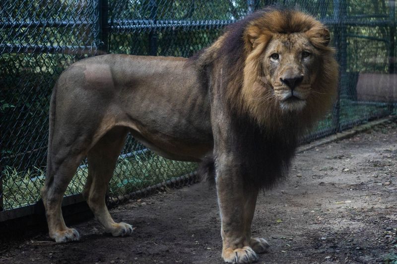 Alabama - Birmingham Zoo