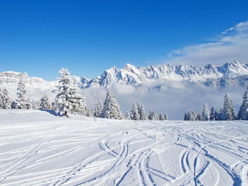 A Winter Wonderland in Switzerland