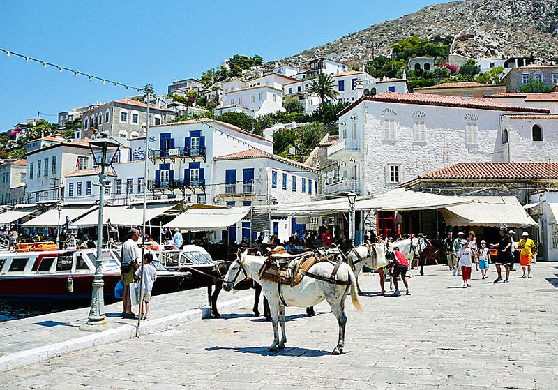 Hydra