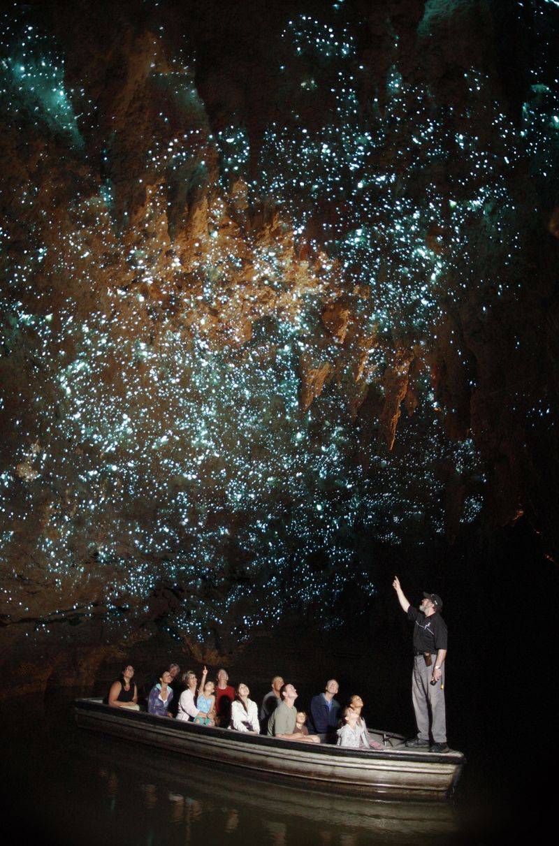 Waitomo Glowworm Caves, New Zealand