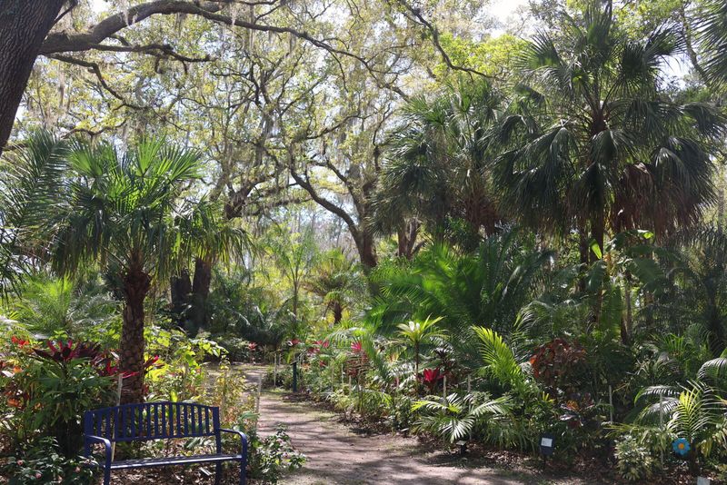 Tranquil Botanical Gardens
