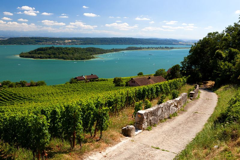 Lake Biel