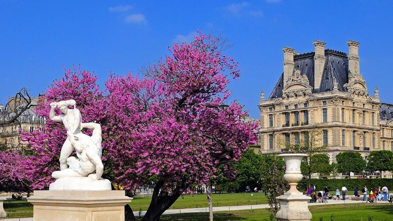 Tuileries Garden