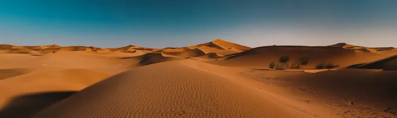 Gobi Desert, Mongolia