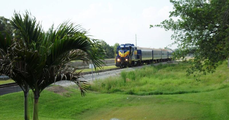Florida Everglades Explorer