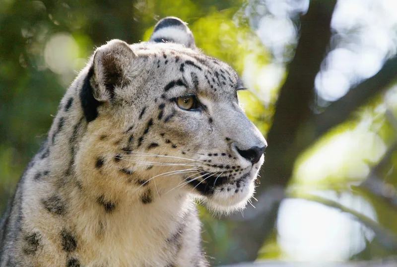 New Jersey - Cape May County Park & Zoo