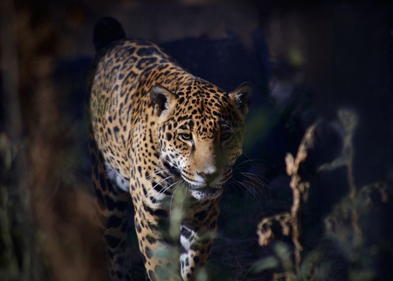 New Mexico - ABQ BioPark Zoo