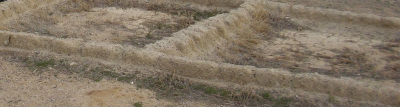 Baker Archaeological Site