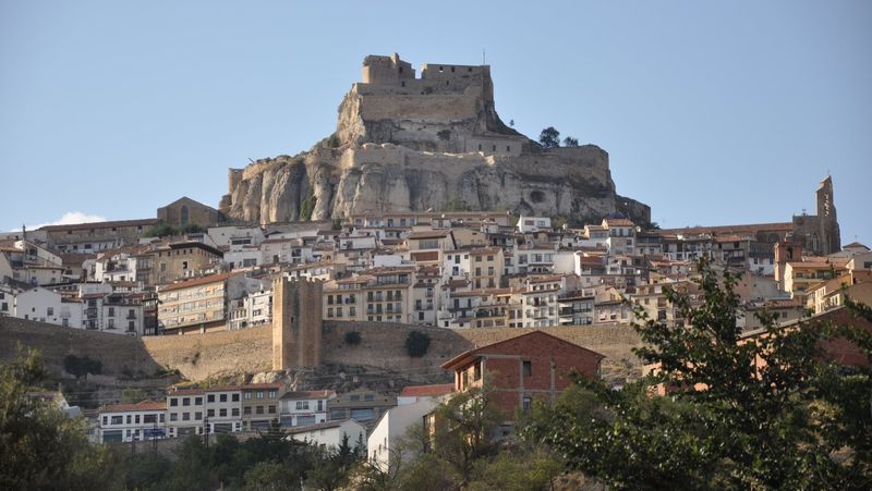 Morella