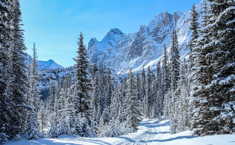 Yoho National Park, British Columbia