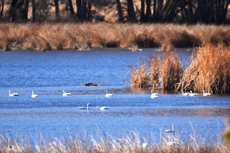 Pahranagat National Wildlife Refuge