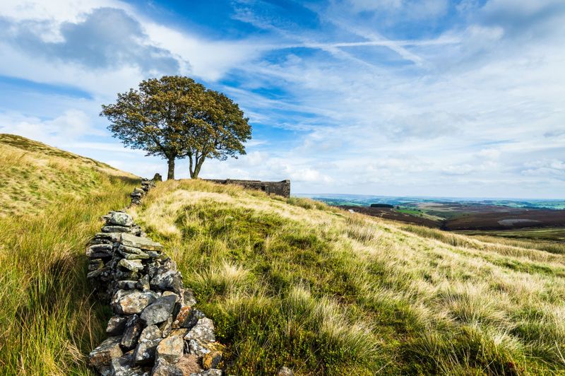 The Moors of Haworth, Yorkshire