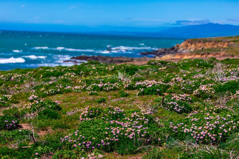 Cambria, California