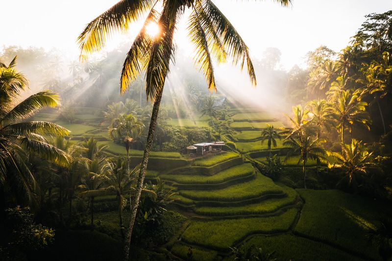 Ubud, Bali, Indonesia