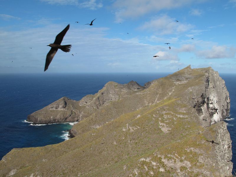 Echoing Cliffs