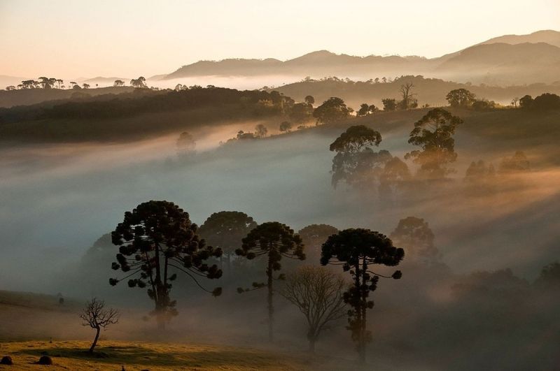 Serra da Bocaina