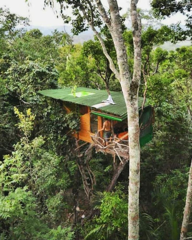 Jungle Haven