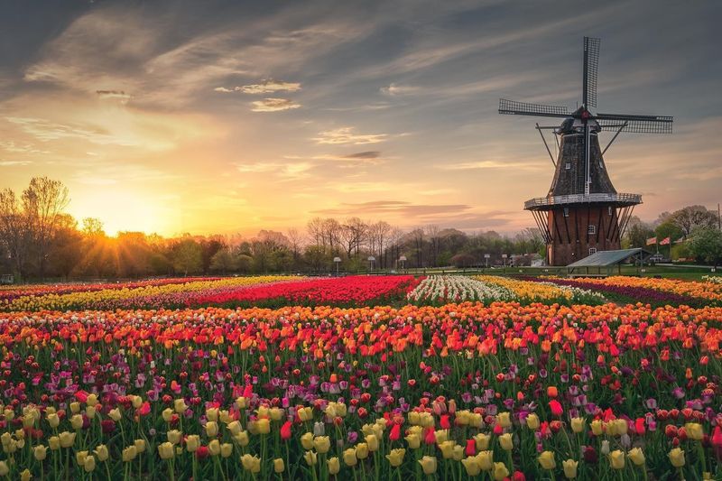 Holland's Tulip Time Festival