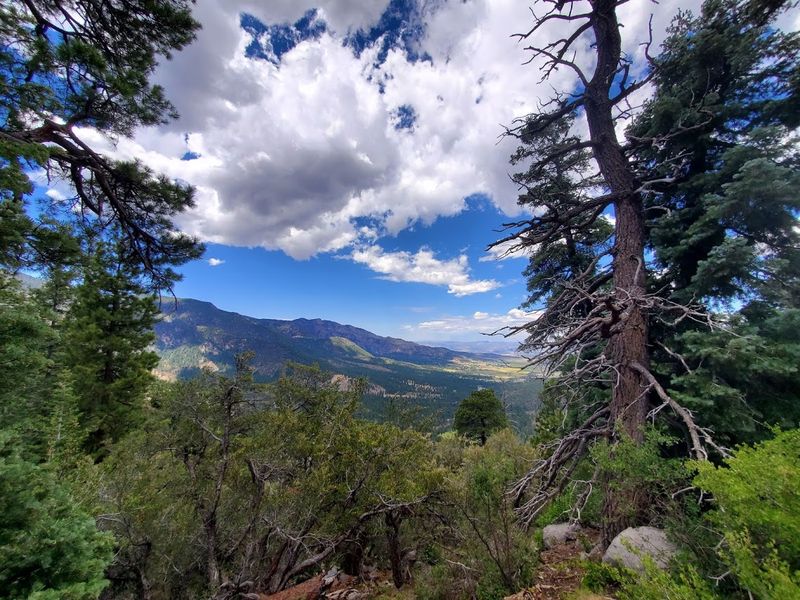 Pine Valley Mountains