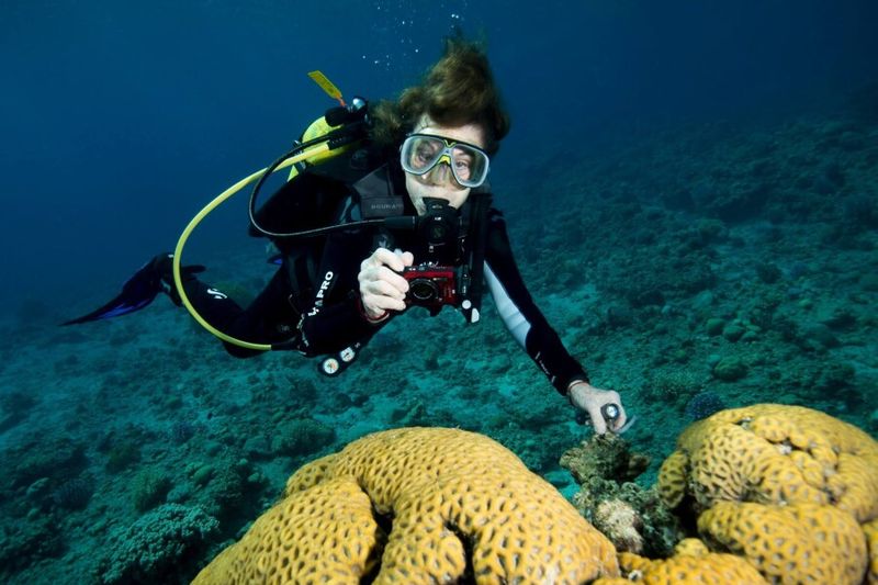 Eco-Conscious Exploration