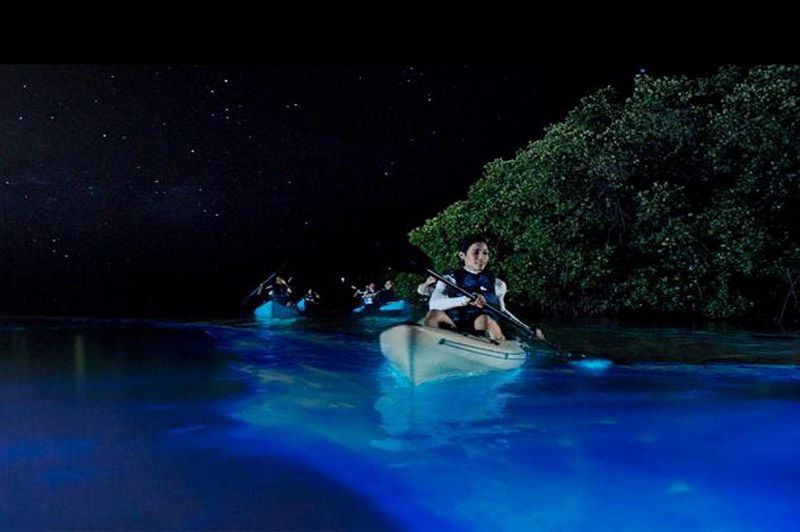 The Luminescent Lagoon, Puerto Rico