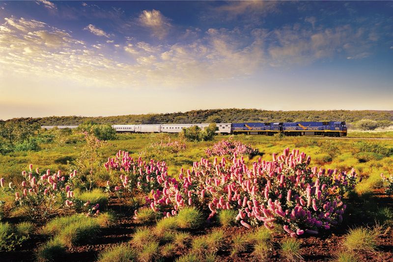 The Indian Pacific