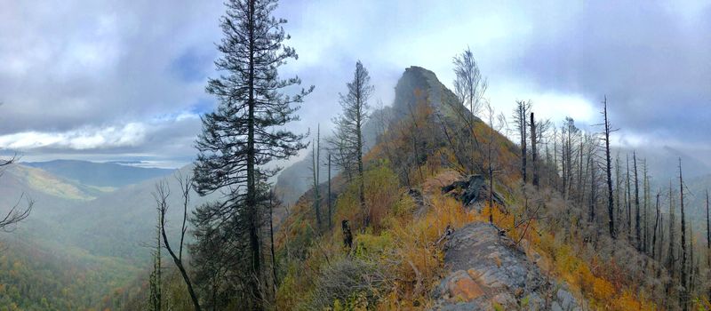 Chimney Tops: A Hiker's Dream
