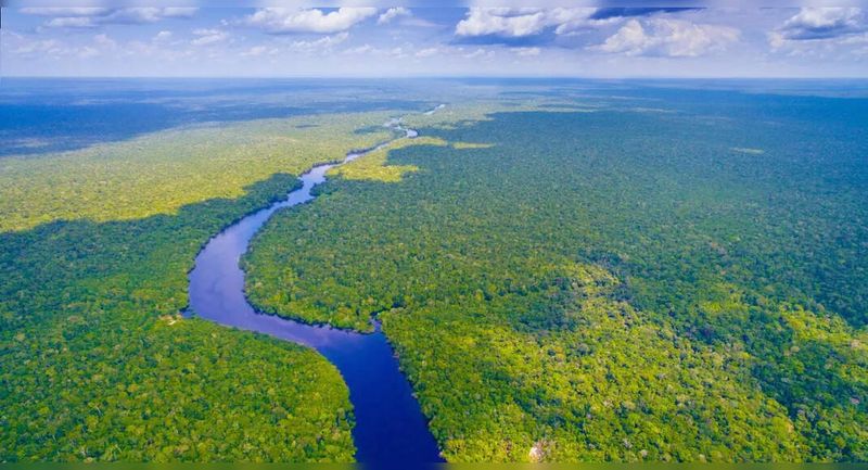 Amazon River