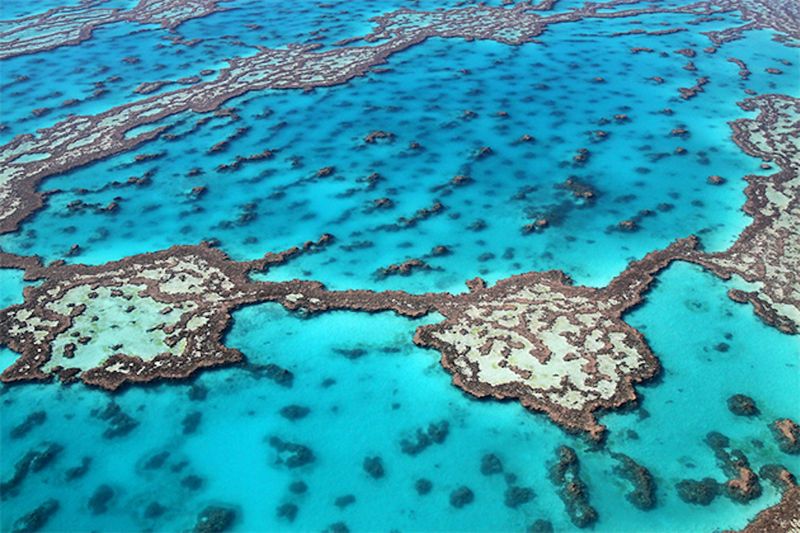 Tourist Trap: Great Barrier Reef, Australia