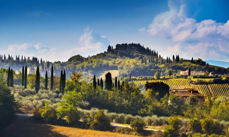 Italy