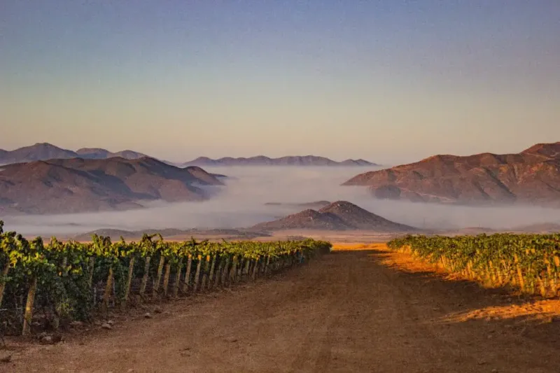 Breath-taking Landscapes