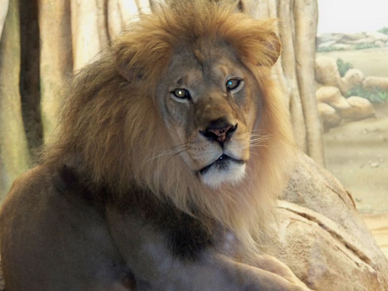 Wisconsin - Milwaukee County Zoo
