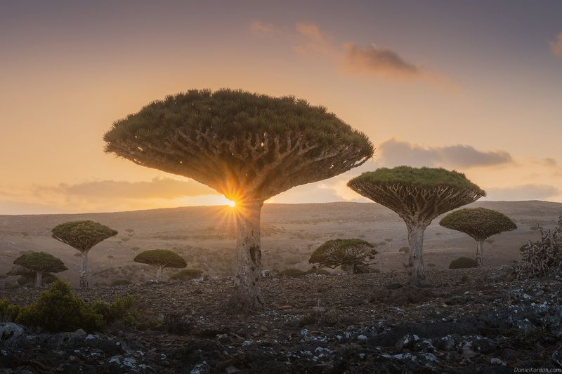 Socotra, Yemen