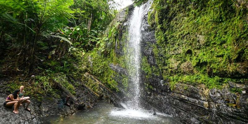 El Yunque Rainforest Overcrowding