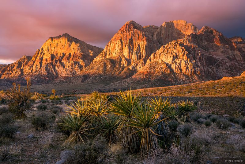 Red Rock Canyon