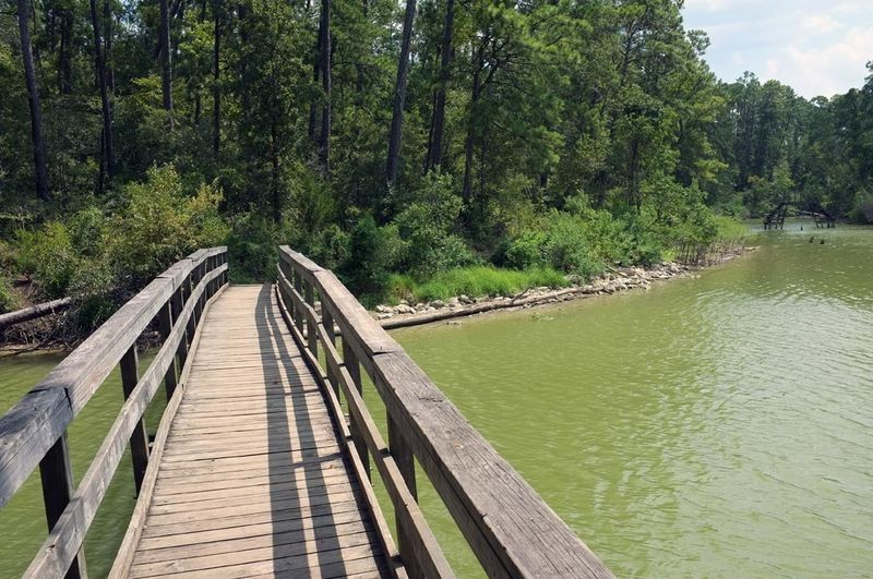 Oak Flat Trail