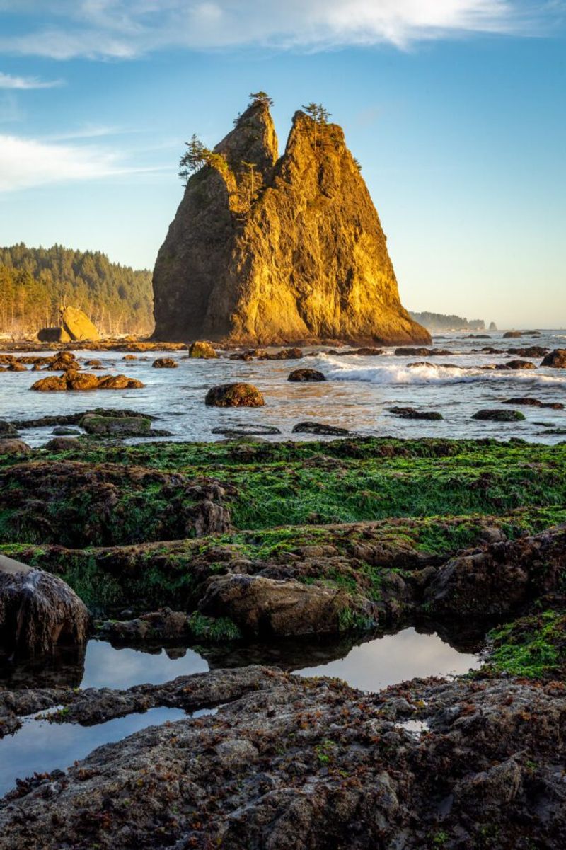 Olympic National Park, Washington