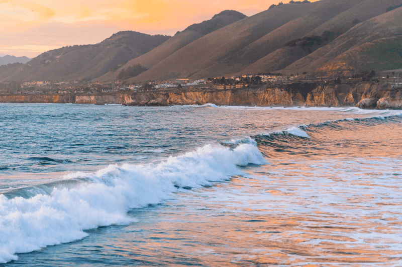 Pismo State Beach Delights