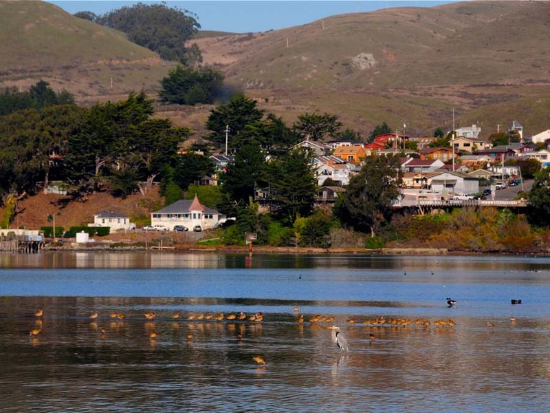 Bodega Bay – California (The Birds)
