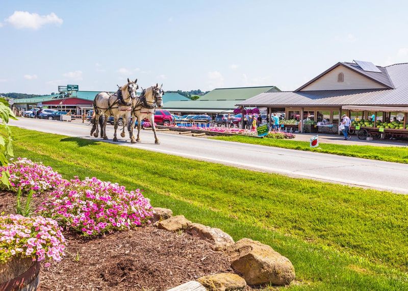 Hershberger’s Farm & Bakery — Millersburg area