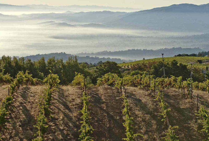Santa Cruz Mountains Wine Road