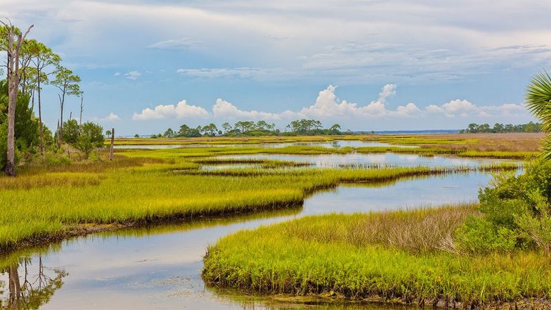 Everglades National Park, Florida